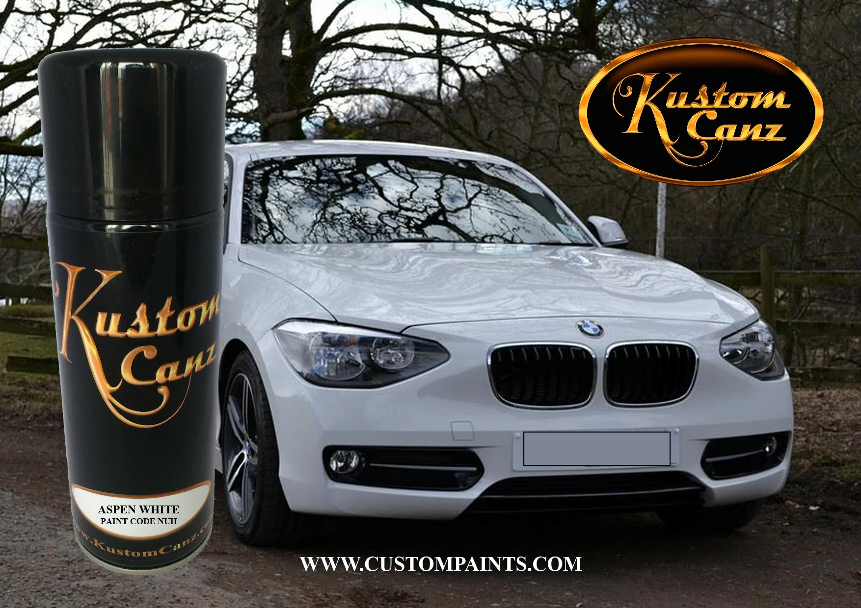 BMW Aerosol Can Colours - Image 35
