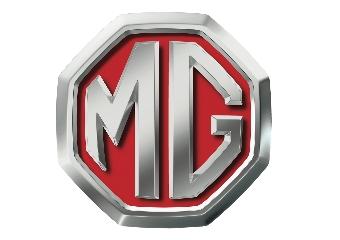 MG Rover: IAY Shot Silk - Image 2