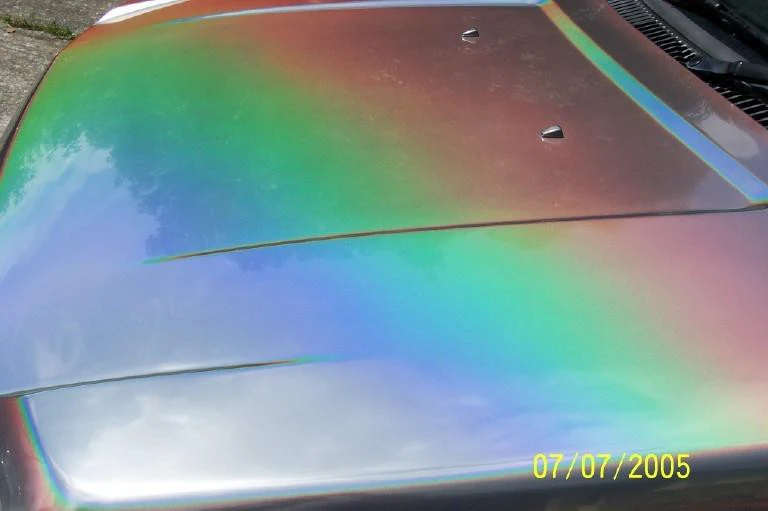Prismacoat - Image 2